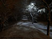 Imagine atasata: Zapada - 2014.12.28 - 167.jpg